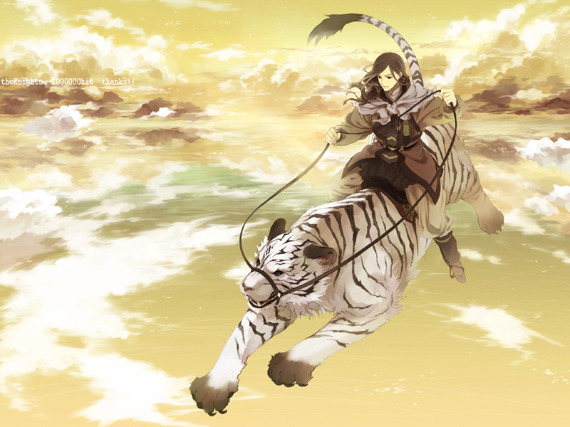 sakaki kuuya, taishi, juuni kokuki, cloud, flying, male focus, sky, tiger, yellow sky