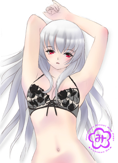 kleine erdbeere, suigintou, rozen maiden, 00s, 1girl, bra, female focus, lingerie, navel, pale skin, red eyes, solo, underwear