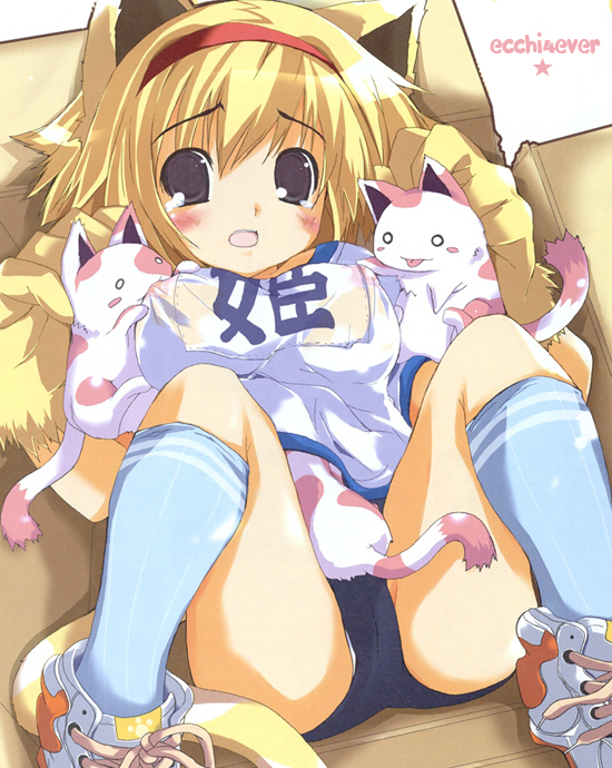 oshiki hitoshi, original, 1girl, animal ears, animal hands, box, breast sucking, breast sucking through clothes, buruma, cardboard box, cat, cat ears, female focus, gym uniform, hairband, nipples, socks, solo, watermark