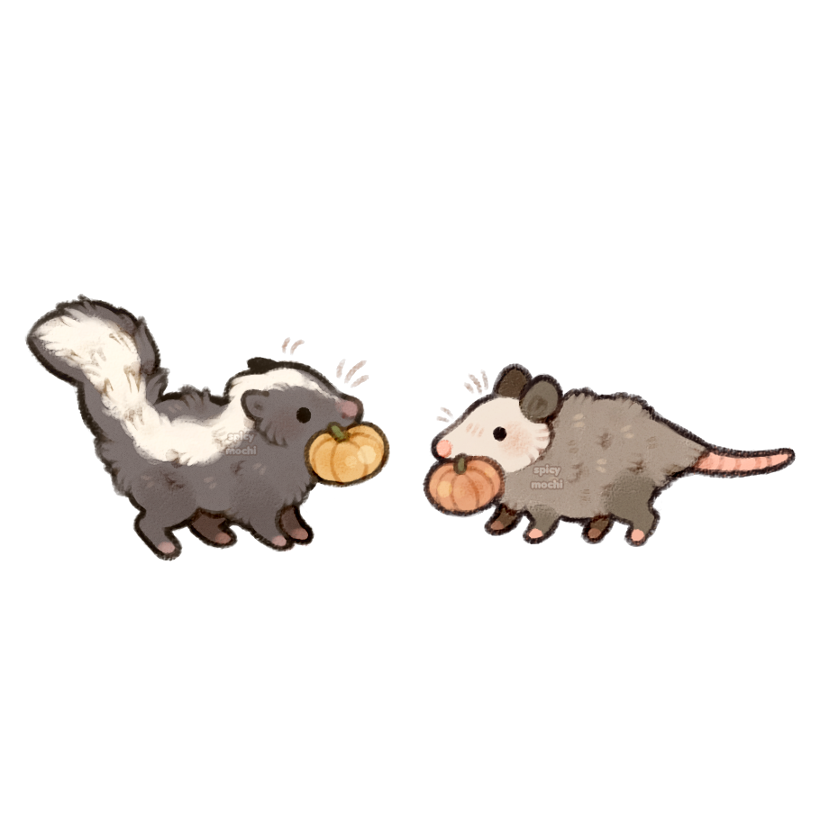spicymochi, original, commentary, english commentary, animal, animal focus, black eyes, full body, mouth hold, no humans, opossum, pumpkin, simple background, skunk, white background