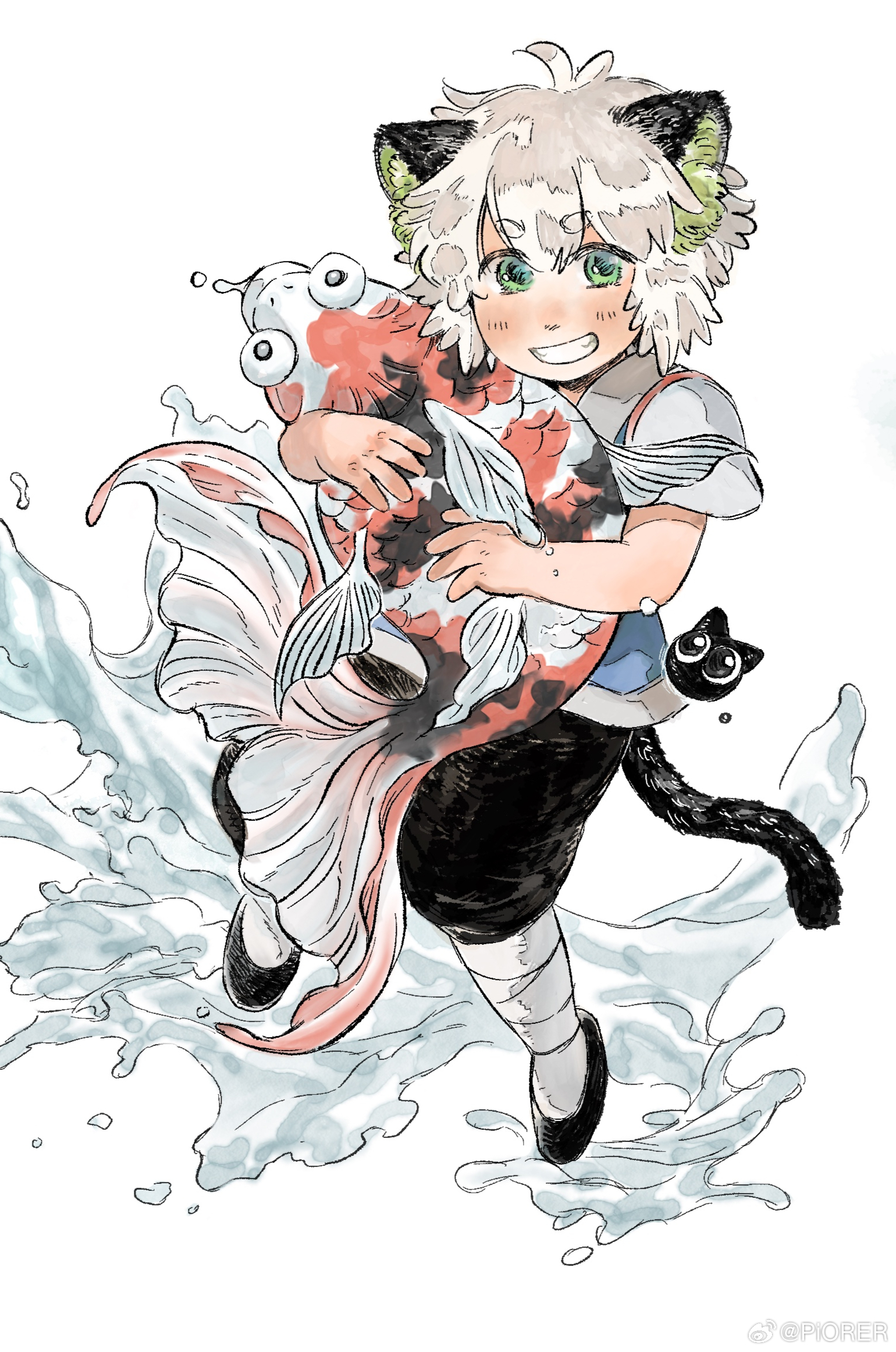 heixiu, luo xiaohei, luo xiaohei (human), luo xiaohei zhanji, highres, 1boy, animal, animal ears, black pants, black shoes, cat boy, cat ears, cat tail, fish, green eyes, holding, holding animal, holding fish, koi, pants, parted lips, shoes, short hair, short sleeves, smile, solo, tail, weibo 3019806555, white background, white hair