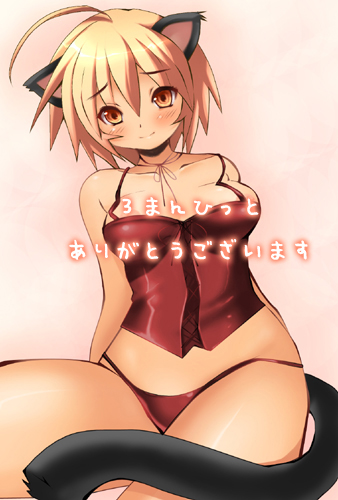 ninoko, original, lowres, animal ears, areola slip, cat ears, cat tail, panties, solo, tail, underwear