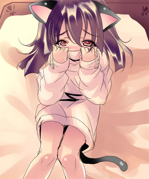 shiranagi, tagme, 1girl, animal ears, cat ears, female focus, solo