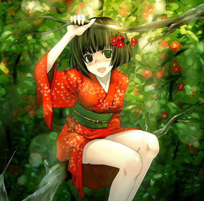 torazou, original, in tree, japanese clothes, kimono, nature, short kimono, sitting, sitting in tree, solo, tree