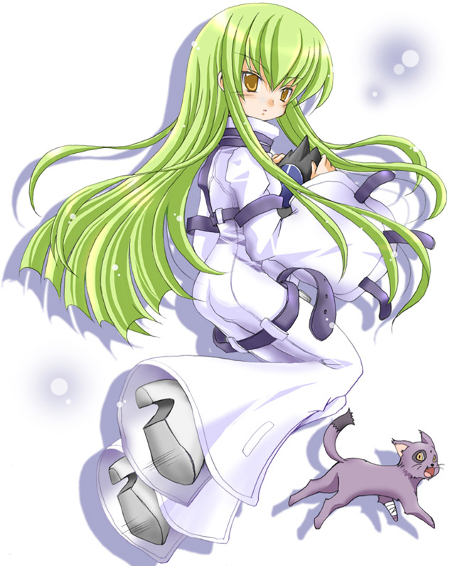 hijiri rue, ruzeygarg, c.c., code geass, 00s, 1girl, animal, bandages, black cat, cat, female focus, full body, green hair, long hair, long sleeves, looking at viewer, robe, sidelocks, simple background, solo, straitjacket, very long hair, white background, yellow eyes