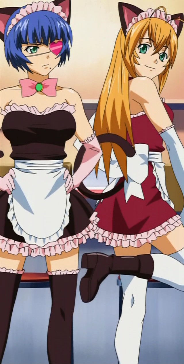 ryomou shimei, sonsaku hakufu, ikkitousen, anime screenshot, highres, stitched, third-party edit, 00s, 2girls, animal ears, apron, blonde hair, blue hair, bow, cat ears, cat tail, costume, eyepatch, frills, heart, maid, maid apron, maid headdress, mole, multiple girls, red skirt, short hair, skirt, tail, thighhighs, zettai ryouiki