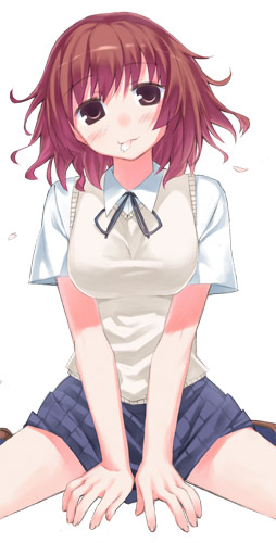 yasu, kanou sakura, toradora!, lowres, official art, 00s, 1girl, female focus, school uniform, serafuku, simple background, solo, sweater, sweater vest, vest