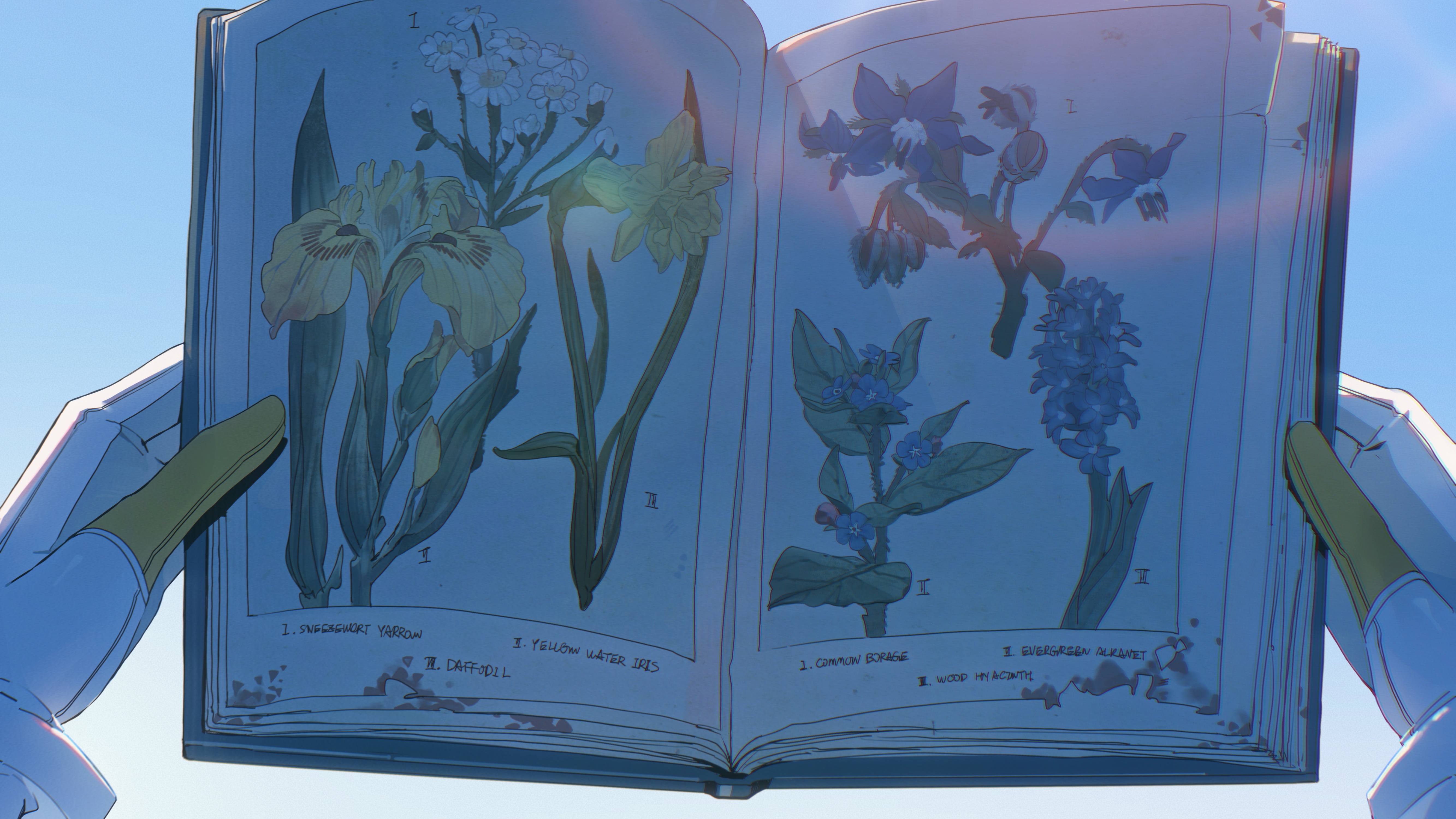 konya karasue, seed (zenless zone zero), zenless zone zero, absurdres, highres, 1girl, blue flower, blue theme, book, flower, gloves, holding, holding book, open book, shadow, white flower, white gloves, yellow flower