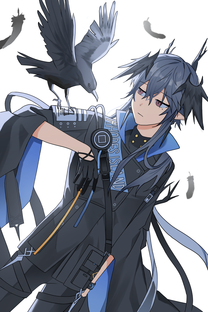 infection monitor (arknights), logos (arknights), arknights, commentary, symbol-only commentary, 1boy, animal, bird, black bird, black gloves, black jacket, black pants, closed mouth, clothes writing, cowboy shot, dronia (dronia9648), expressionless, feathers, gloves, grey hair, hair between eyes, half gloves, jacket, long hair, looking at animal, male focus, mole, mole under eye, pants, pointy ears, red eyes, simple background, solo, standing, thigh strap, turning head, white background