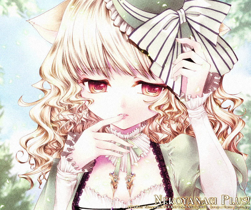 mogami rio, original, 1girl, animal ears, blonde hair, bow, cat ears, curly hair, female focus, hat, long hair, red eyes, solo