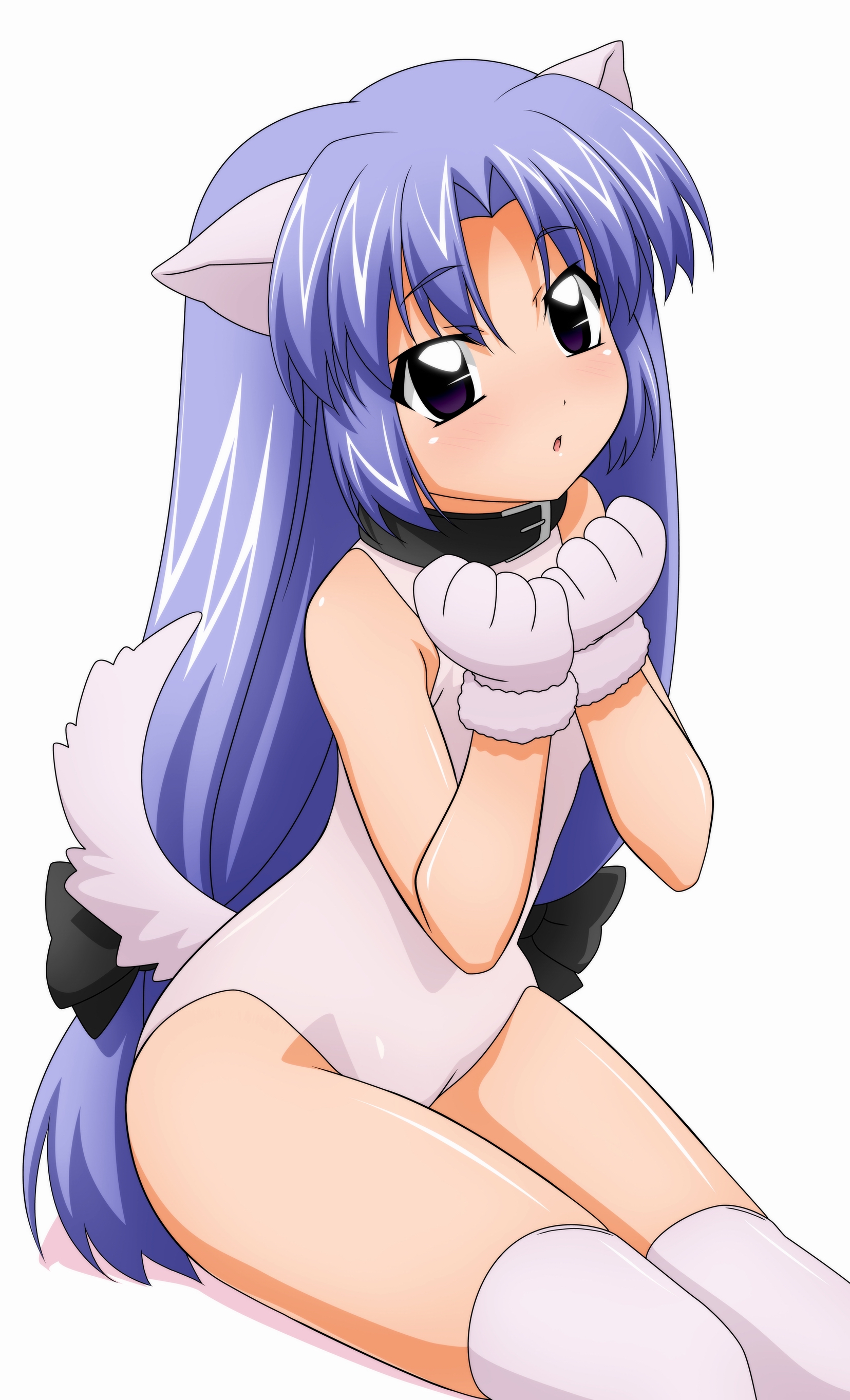 sugimura tomokazu, lost universe, absurdres, highres, non-web source, 1990s (style), animal ears, blue hair, collar, dog ears, dog tail, gloves, leotard, long hair, low-tied long hair, retro artstyle, solo, tail, thighhighs