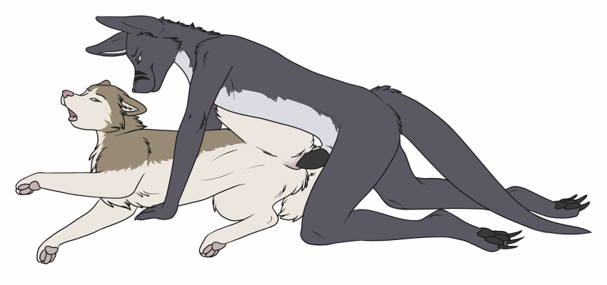 Rule34 – If it exists, there is porn of it / zoophilic / 52665