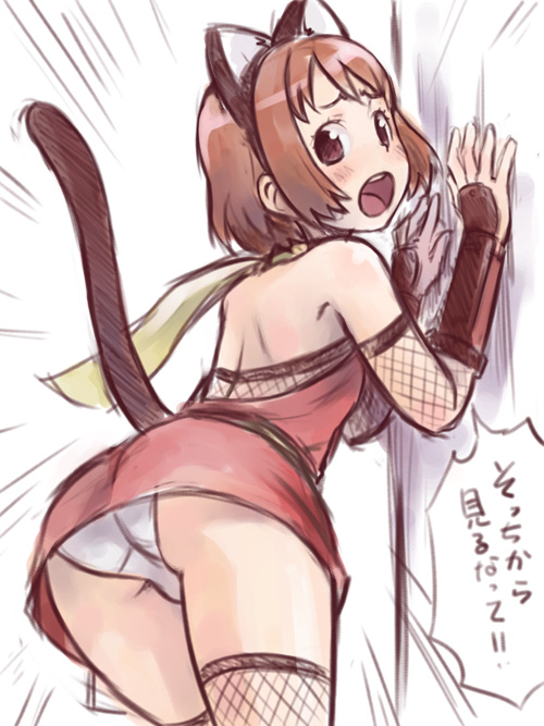 ha-ru, 1girl, animal ears, bent over, blush, brown eyes, brown hair, cat ears, cat tail, female focus, fishnets, ninja, panties, pantyshot, short hair, solo, tail, thighhighs, underwear