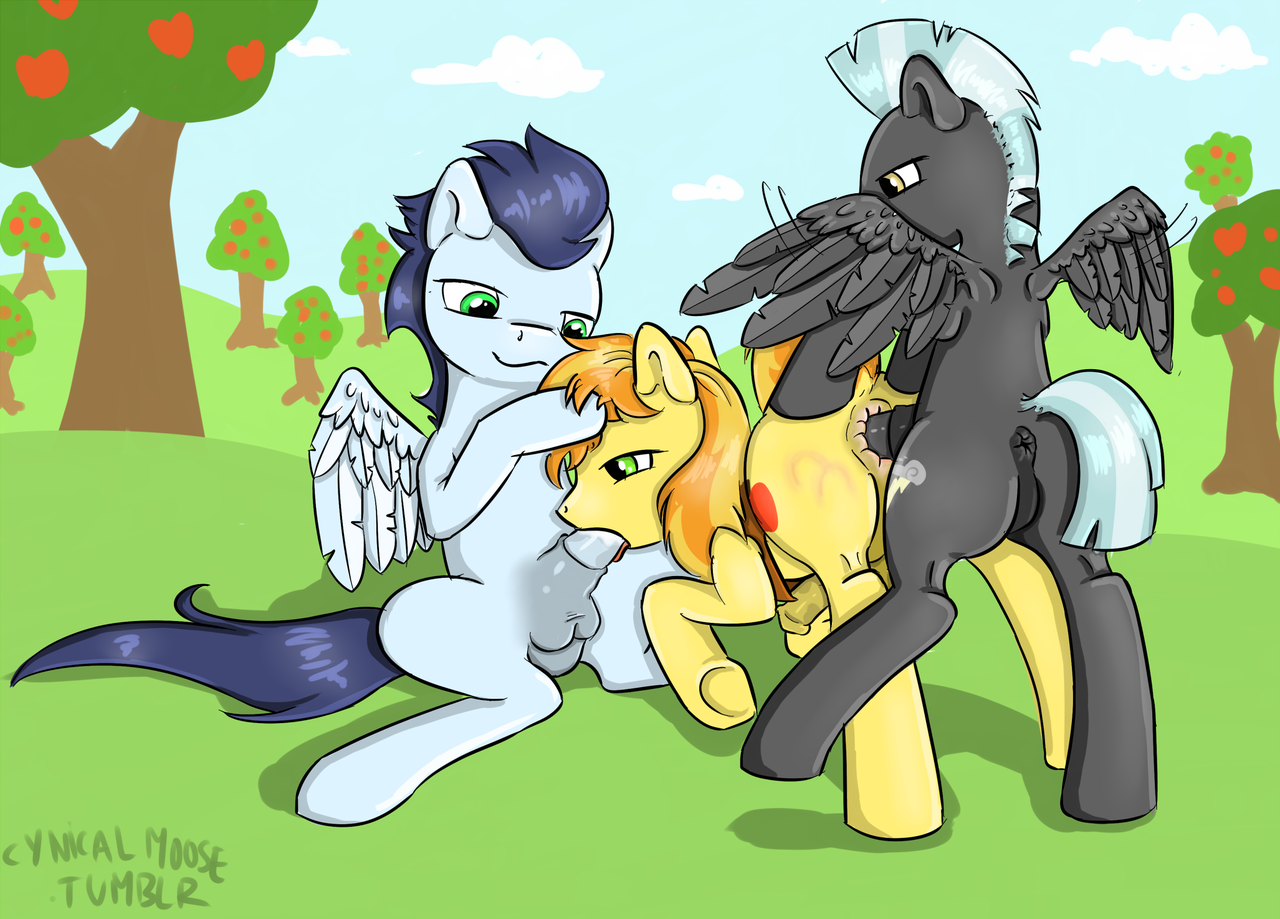 Rule34 – If it exists, there is porn of it / cynicalmoose, braeburn, soarin (mlp), thunderlane (mlp), wonderbolts (mlp) / 53033