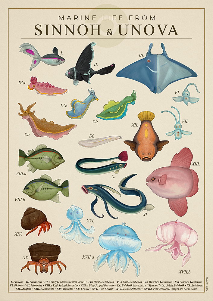 julio lacerda, alomomola, basculin, basculin (blue), basculin (red), crustle, dwebble, eelektrik, eelektross, finneon, frillish, frillish (female), frillish (male), gastrodon, gastrodon (east), gastrodon (west), jellicent, jellicent (female), jellicent (male), lumineon, manaphy, mantyke, phione, shellos, shellos (east), shellos (west), stunfisk, tynamo, nintendo, pokemon, animal focus, biology, crab, eel, evolutionary line, fish, gen 4 pokemon, gen 5 pokemon, jellyfish, legendary pokemon, manta ray, mythical pokemon, no humans, pokemon (creature), pokemon focus, scientific poster, scientifically accurate, sea slug