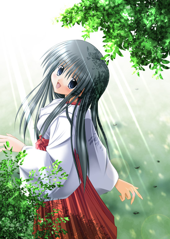 noritama (gozen), original, 1girl, :d, black hair, blue eyes, blush, female focus, field, grass, hakama, hakama skirt, japanese clothes, kimono, light rays, long sleeves, looking at viewer, looking back, looking up, miko, open mouth, plant, red hakama, red skirt, skirt, smile, solo, sunlight