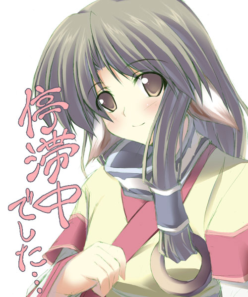 fuyuwa kotatsu, eruruu, utawarerumono, 00s, animal ears, dog ears, japanese clothes, layered sleeves, solo