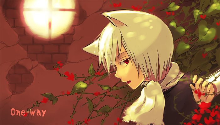 loo, original, gender request, androgynous, animal ears, cat ears, flower, rose, scarf, solo