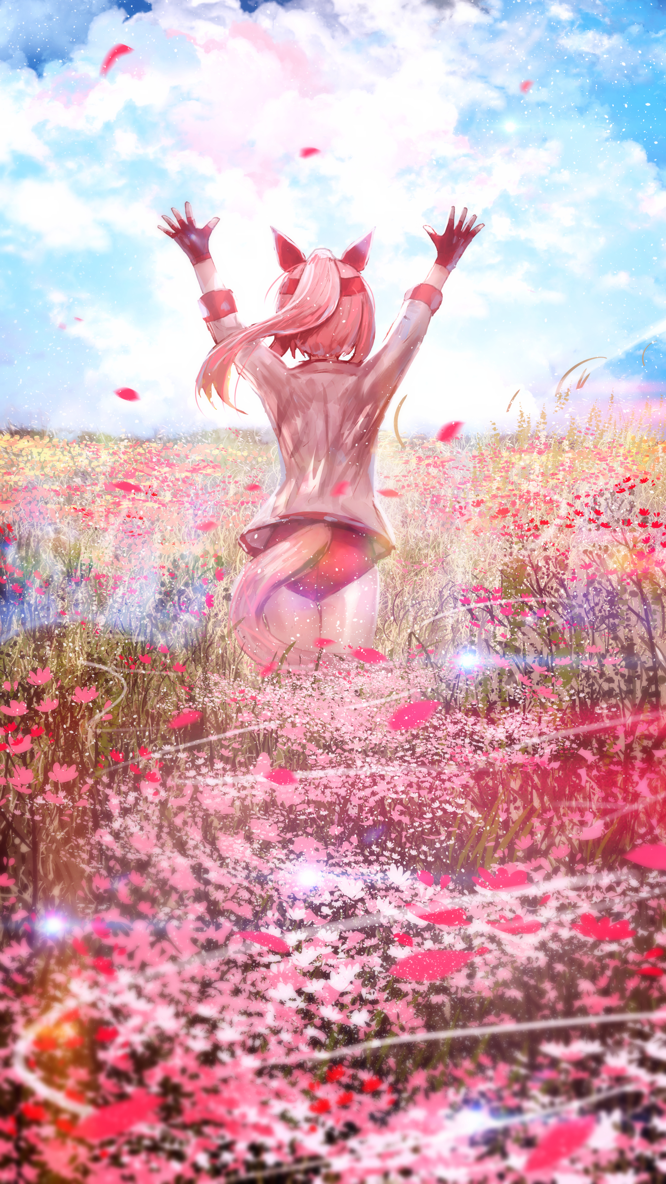 advarcher, haru urara (umamusume), umamusume, absurdres, commentary, highres, 1girl, o/, animal ears, arms up, blue sky, buruma, cloud, ear covers, field, fingerless gloves, flower, flower field, from behind, gloves, hairband, haru urara (bestest prize) (umamusume), headband, horse ears, horse girl, horse tail, jacket, long hair, outdoors, outstretched arms, petals, pink buruma, pink hair, pink headband, ponytail, red buruma, red gloves, red headband, shirt, sky, solo, tail, white jacket, white shirt
