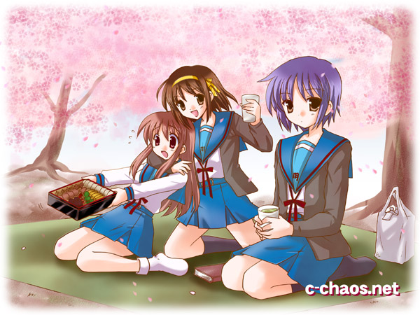 c-chaos, asahina mikuru, nagato yuki, suzumiya haruhi, suzumiya haruhi no yuuutsu, 00s, bento, brown hair, cardigan, cherry blossoms, hanami, school uniform, serafuku, short hair, tea