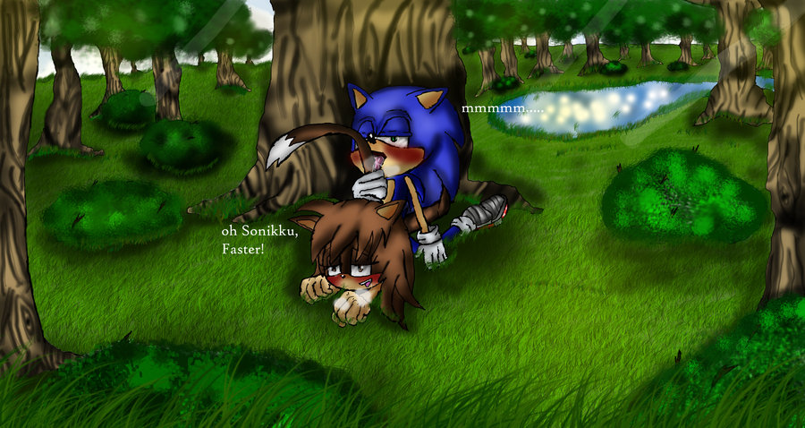 Rule34 – If it exists, there is porn of it / samantha the hedgecat, sonic the hedgehog, sunny / 54419