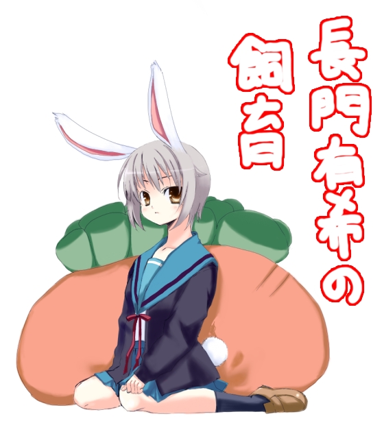 nagato yuki, suzumiya haruhi no yuuutsu, 00s, animal ears, rabbit ears, school uniform, serafuku, solo