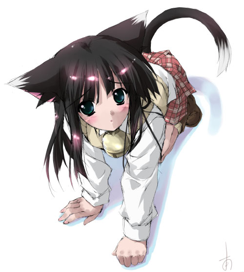 minamino kanata, shinozuka arashi, gad guard, 00s, all fours, animal ears, bell, black hair, blush, boots, cat ears, cat tail, dress shirt, green eyes, jingle bell, plaid clothes, plaid skirt, school uniform, serafuku, shirt, shoes, skirt, solo, sweater vest, tail, vest