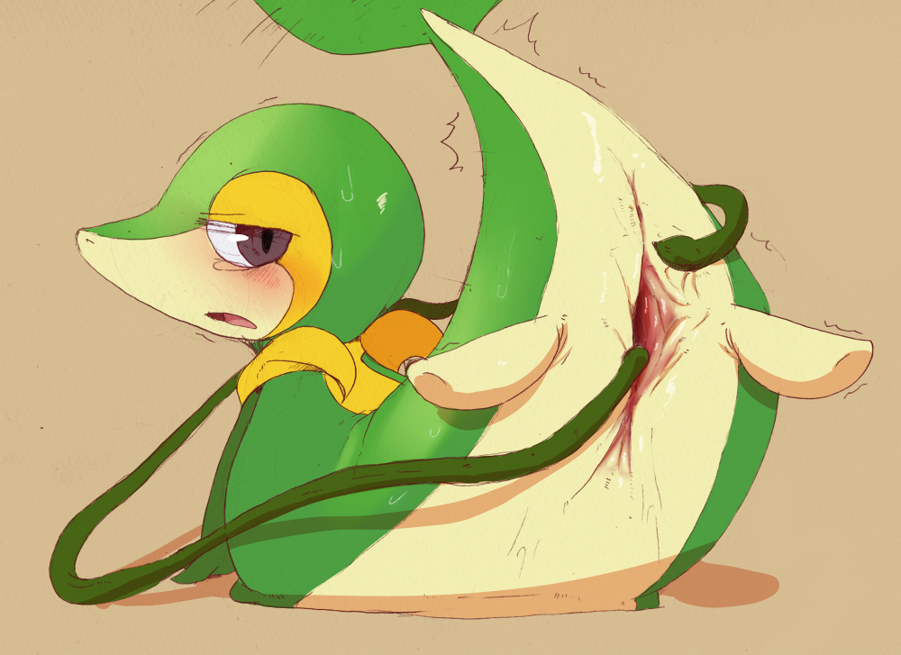 Rule34 – If it exists, there is porn of it / dagasi, snivy / 54933