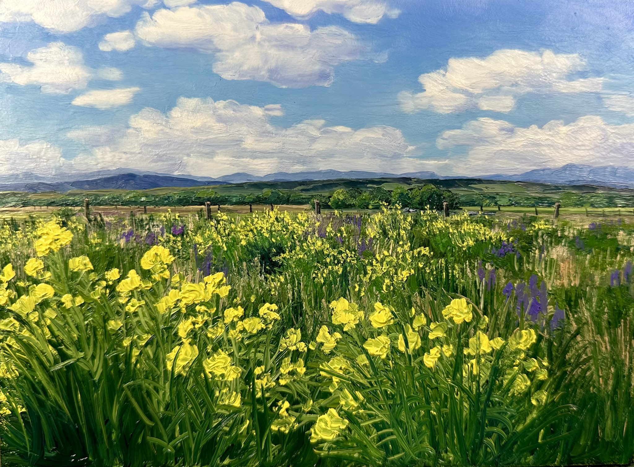 kate avery, original, commentary, english commentary, highres, oil painting (medium), painting (medium), traditional media, blue sky, cloud, cloudy sky, day, field, flower, flower field, mountainous horizon, no humans, outdoors, purple flower, real world location, scenery, sky, yellow flower