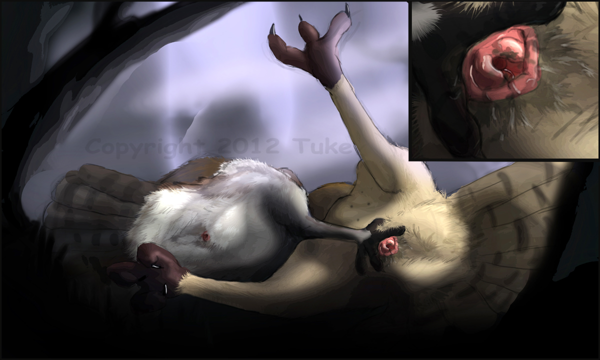 Rule34 – If it exists, there is porn of it / tuke / 55131