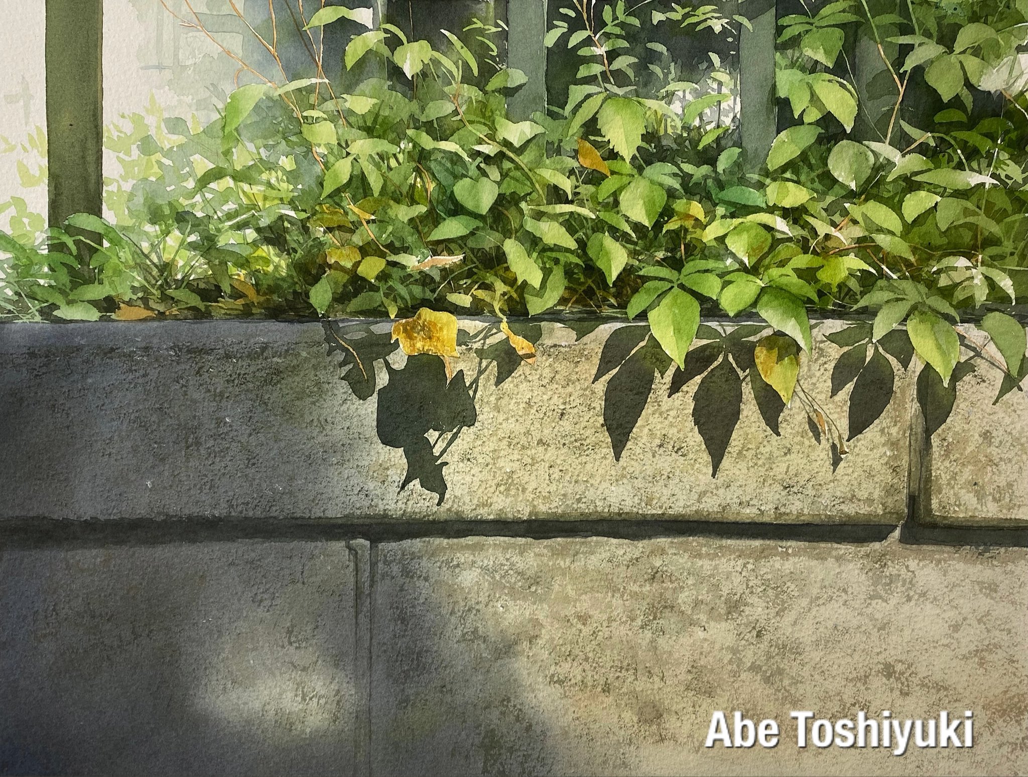 abe toshiyuki, original, commentary request, highres, painting (medium), traditional media, watercolor (medium), artist name, day, leaf, no humans, outdoors, plant, plant focus, scenery, shadow