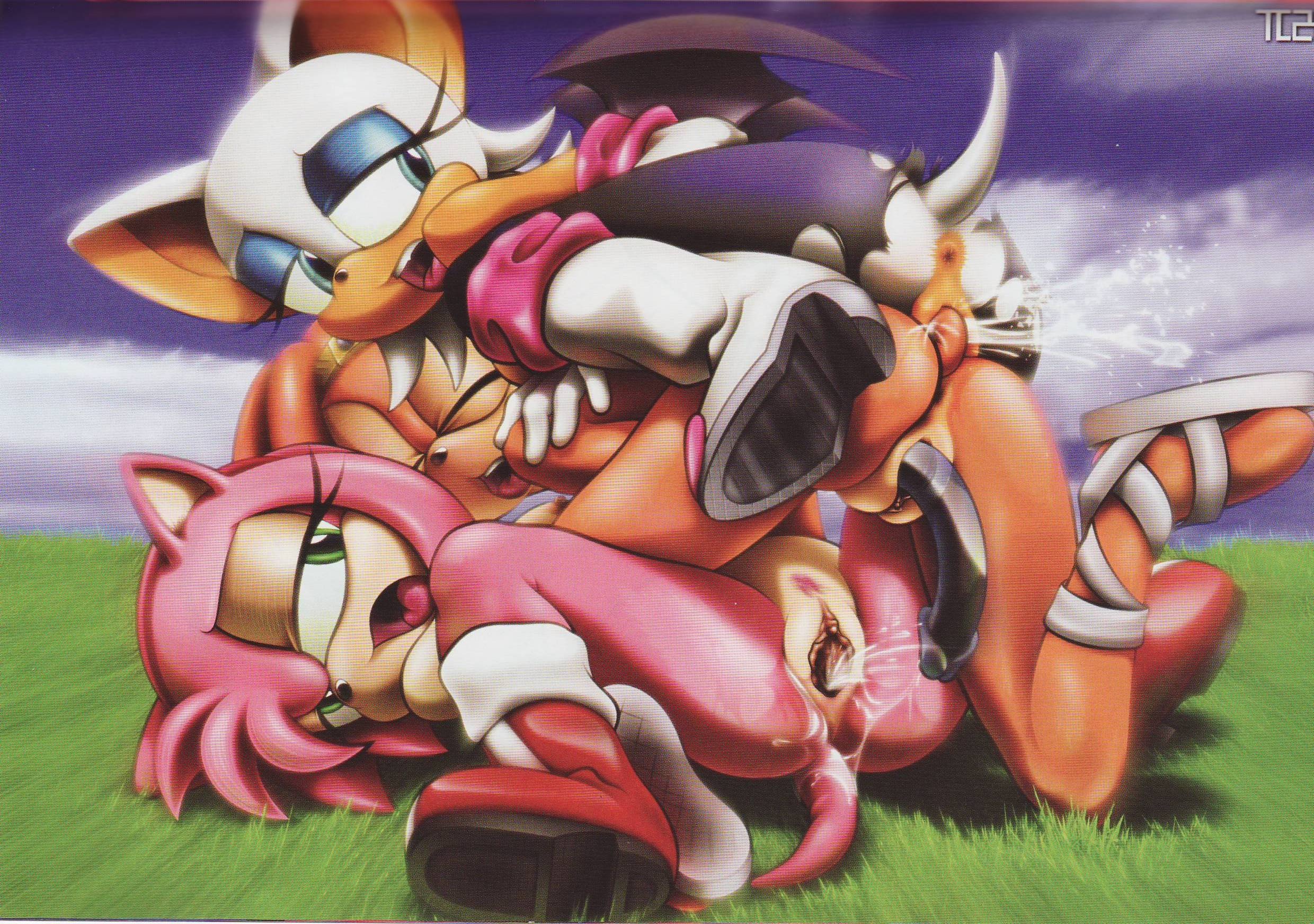 Rule34 – If it exists, there is porn of it / tcprod, amy rose / 55183