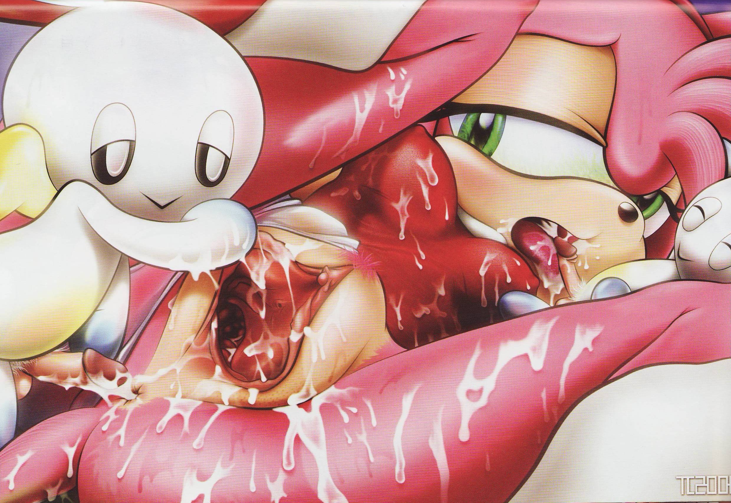 Rule34 – If it exists, there is porn of it / tcprod, amy rose, chao / 55184