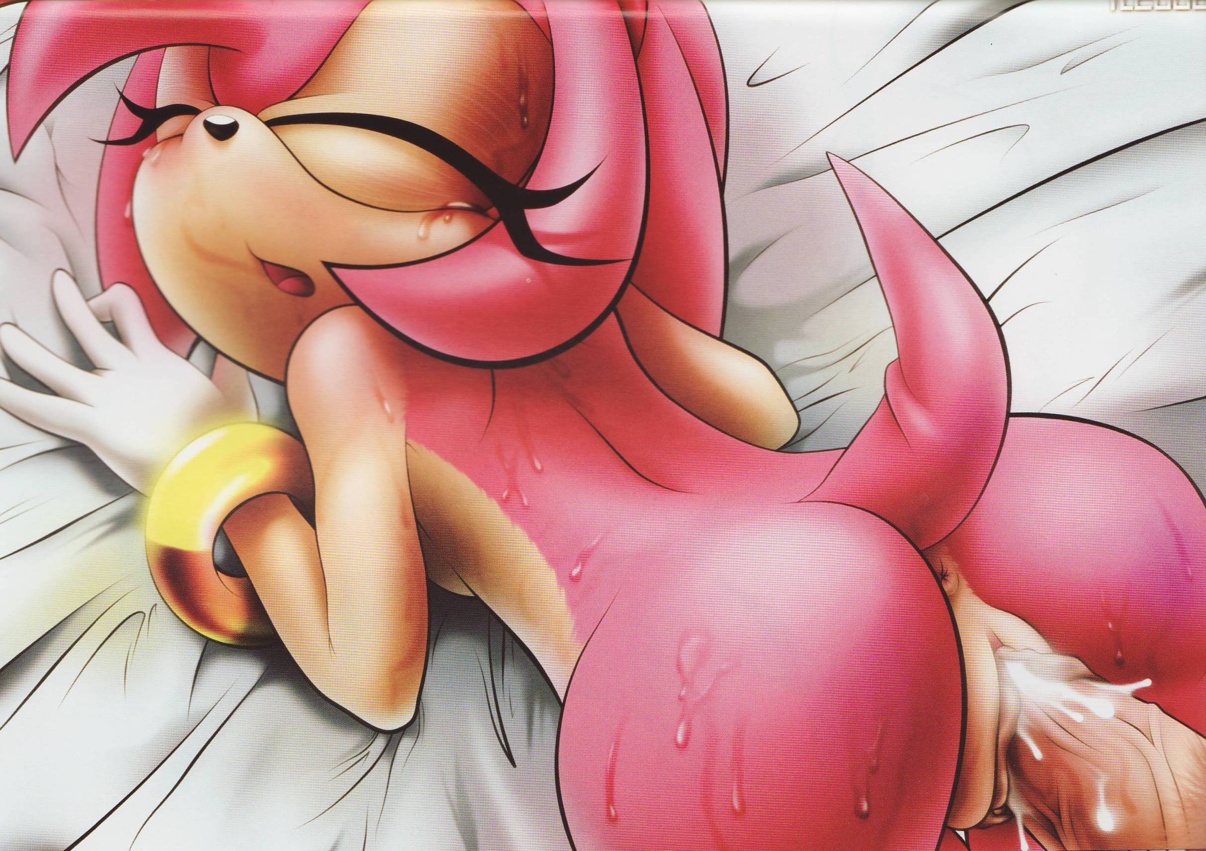 Rule34 – If it exists, there is porn of it / tcprod, amy rose / 55185
