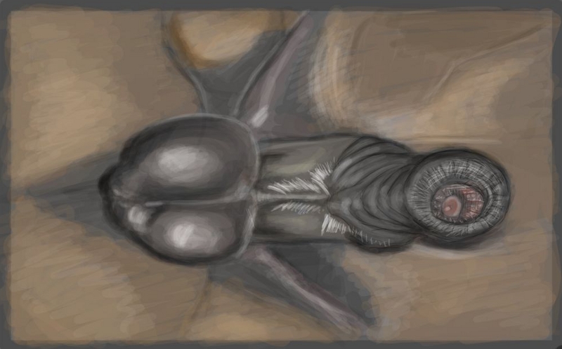 Rule34 – If it exists, there is porn of it / gdane / 55365