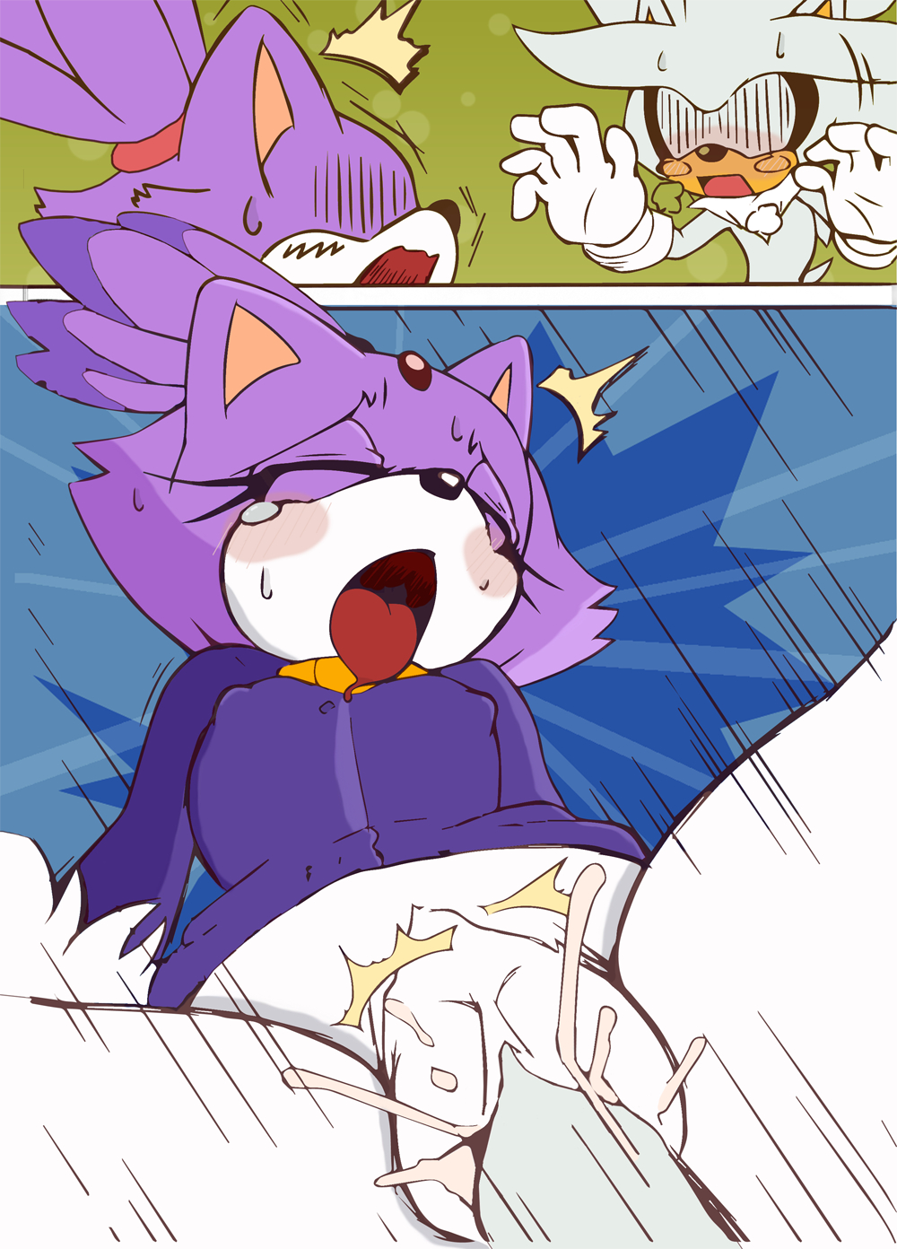 Rule34 – If it exists, there is porn of it / blaze the cat, silver the hedgehog / 55494