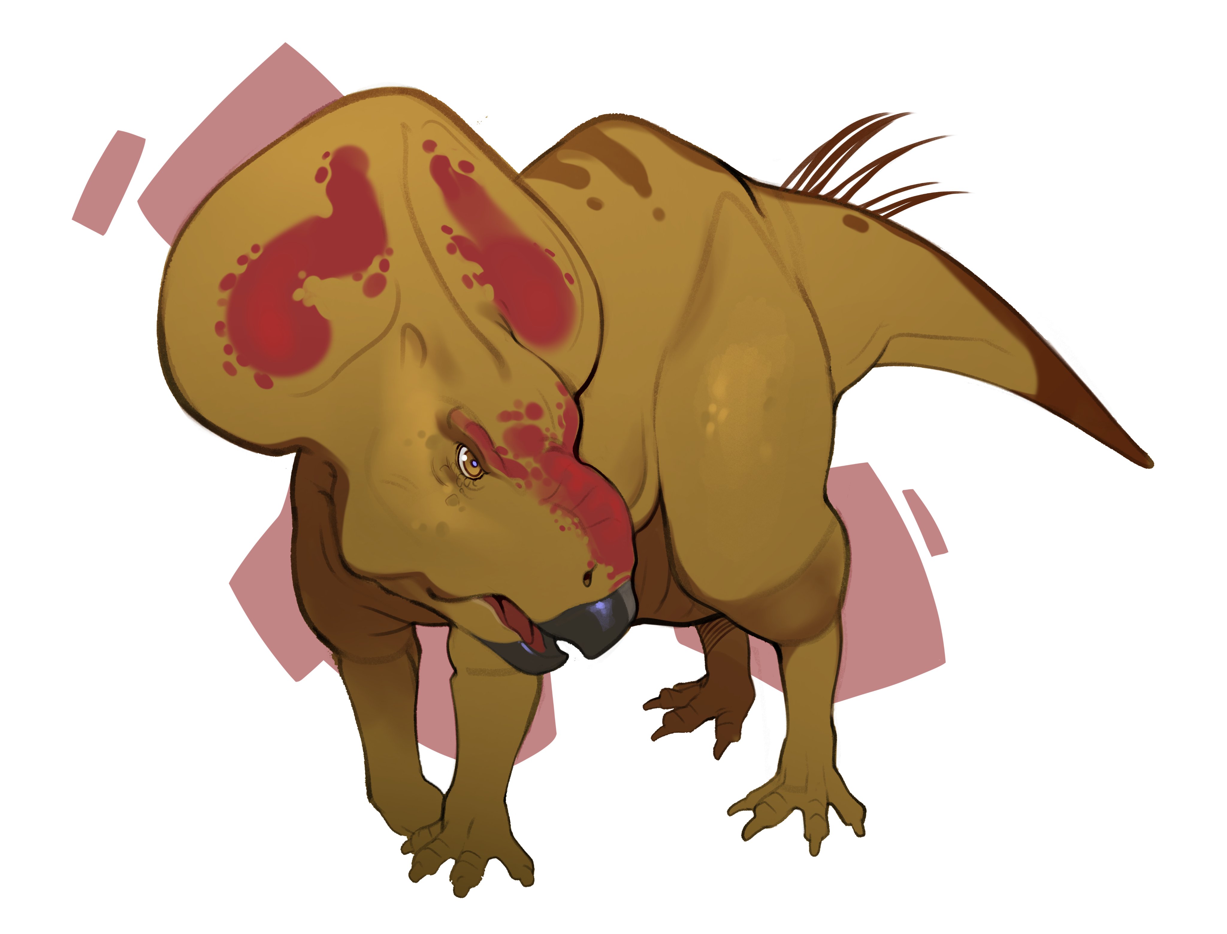 combos & doodles, original, absurdres, highres, animal focus, beak, dark skin, dinosaur, protoceratops, simple background, solo, tail, white background