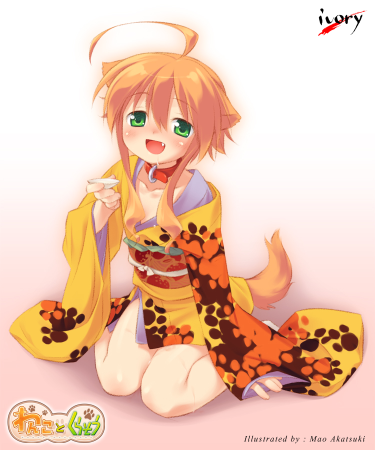ivory, mizuki kotora, mikan (wanko), wanko to kurasou, game cg, non-web source, 1girl, ahoge, alcohol, animal ears, blush, collar, dog ears, dog tail, drunk, fang, female focus, gradient background, green eyes, japanese clothes, mao akatsuki, orange hair, sake, short hair, solo, tail
