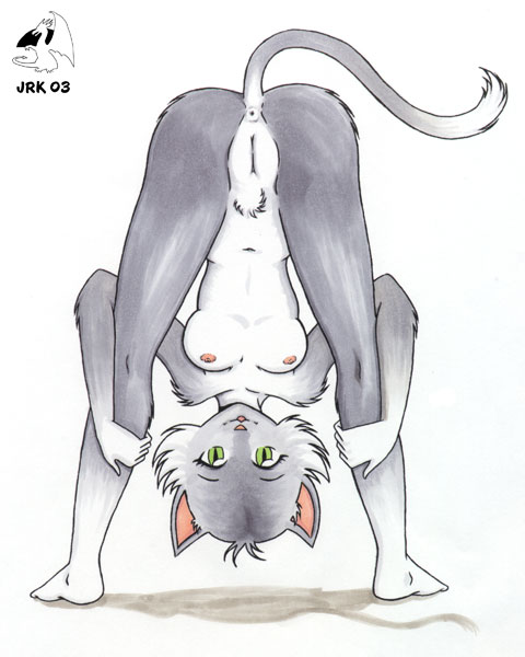 Rule34 – If it exists, there is porn of it / risingdragon / 56778