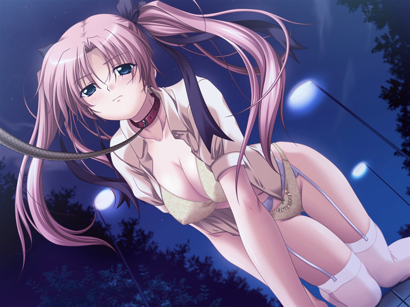 ayakaze ryuushou, takano hina, atelier d, nurse no obenkyou, game cg, 1girl, all fours, bdsm, bitch taken for walk, blouse, blue eyes, blush, bow, bow panties, bra, breasts, cleavage, collar, covered erect nipples, dutch angle, female focus, garter belt, hair ribbon, large breasts, leash, lingerie, long hair, night, no pants, open clothes, open shirt, outdoors, panties, pet play, pink hair, public indecency, ribbon, shirt, solo, thigh gap, thighhighs, thighs, twintails, underwear, viewer holding leash, white thighhighs, yellow bra, yellow panties