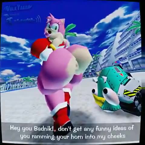 Rule34 – If it exists, there is porn of it / amy rose / 8645010