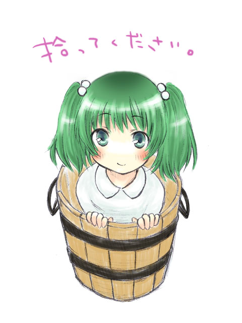fujiyama, rin (artist), kisume, touhou, bad id, bad pixiv id, 1girl, bucket, female focus, green hair, in bucket, in container, solo