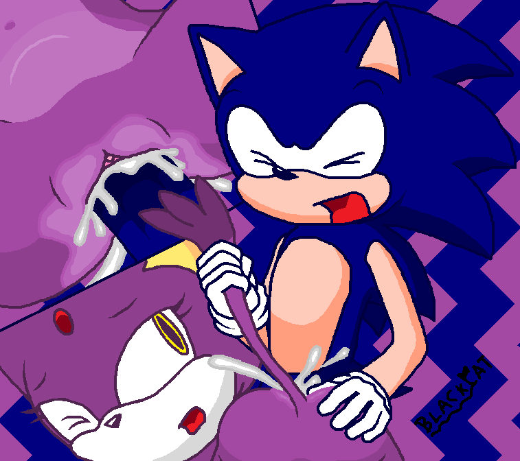 Rule34 – If it exists, there is porn of it / blaze the cat / 57456