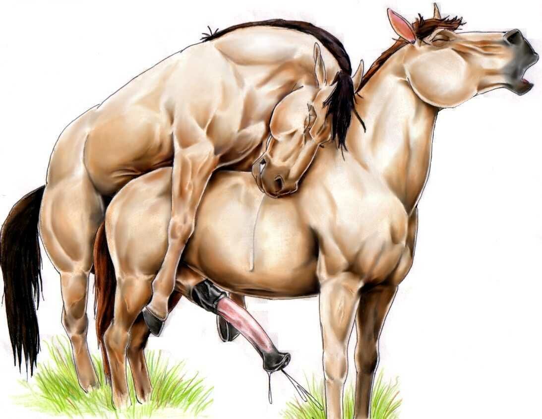 Rule34 – If it exists, there is porn of it / klaus doberman, spirit (cimarron) / 59579
