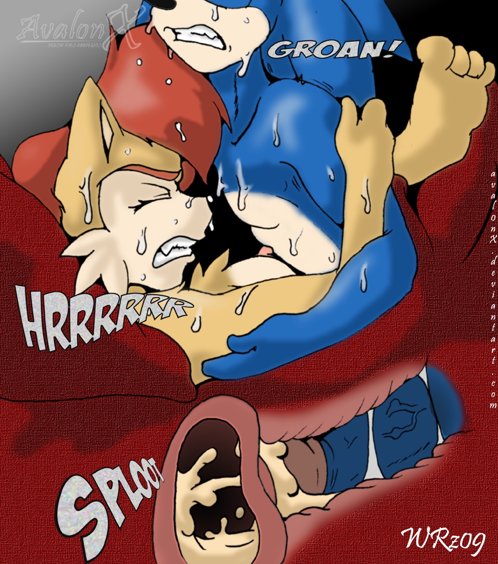 Rule34 – If it exists, there is porn of it / aval0nx, sally acorn, sonic the hedgehog / 60623
