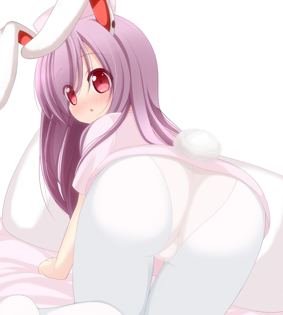 Rule34 – If it exists, there is porn of it / chimunge, reisen udongein inaba / 60656