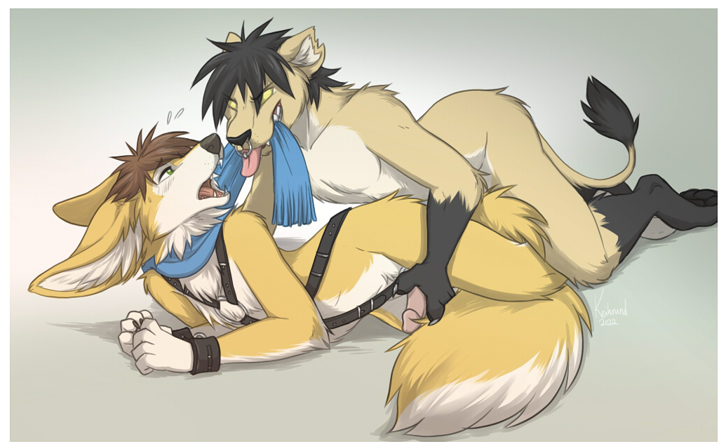Rule34 – If it exists, there is porn of it / keihound, jack / 61211