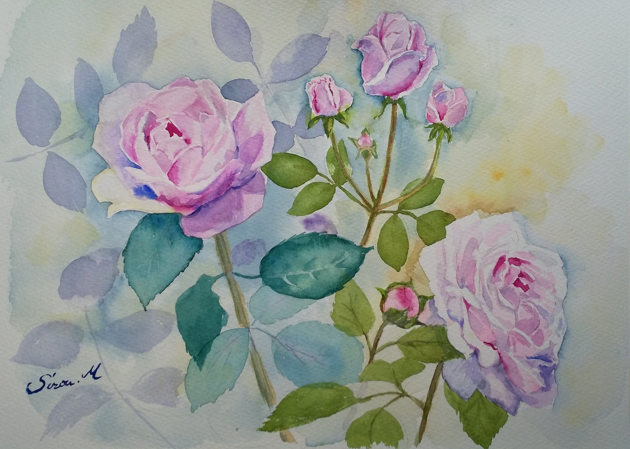 monsisiro411823, original, highres, painting (medium), traditional media, watercolor (medium), flower, flower focus, gradient background, leaf, no humans, pink flower, pink rose, plant, plant focus, rose, signature, still life