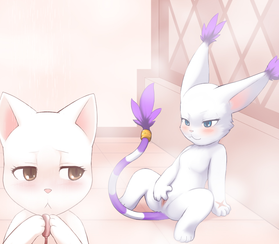 Rule34 – If it exists, there is porn of it / darkmirage, charle, gatomon / 64221
