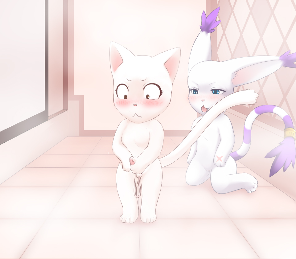 Rule34 – If it exists, there is porn of it / darkmirage, charle, gatomon / 64222
